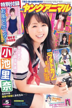 新金梅瓶2完整版