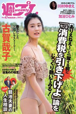 pis第一视角