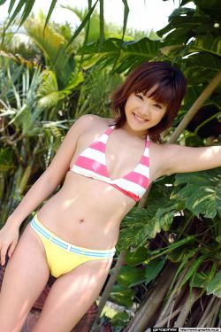 暧昧 小说